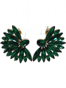 Fashion Earrings